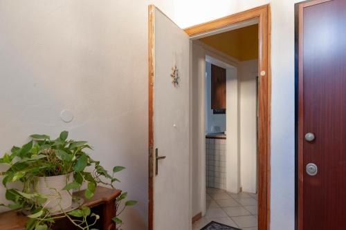 Seaside holiday inn - free parking in Livorno