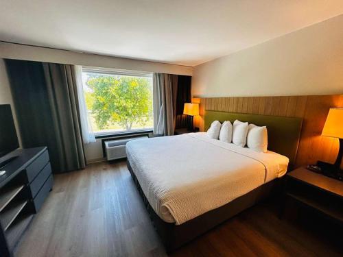 Suite, deluxe