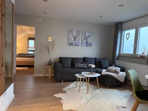 Haus Martha - Modernes Apartment im schönen Westerwald in Willingen, Deutschland