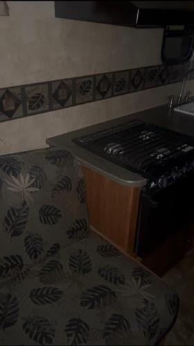 Ver-El RV Park & Campground in 康科德