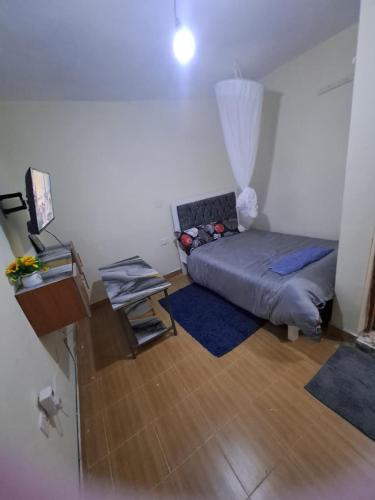 Humble Homes studio apartment Thika Town CBD access to Netflix,wifi and views – khách sạn tại Kiboko