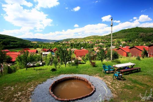 Pensiunea Moldovan - image 14