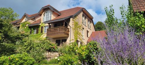Residenz Dabo Panorama in den Vogesen, 5 Zimmer, modern und großzügig, 2 Balkons, Terrasse, Garten (Residenz Dabo Panorama in den Vogesen, 5 Zimmer, modern und großzugig, 2 Balkons, Terrasse, Garten) in Haselbourg ciems