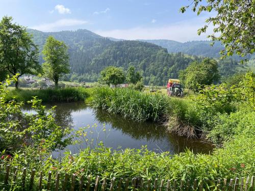 Vista exterior, Gullerhof Ferienwohnung - Köpfle (Gullerhof Ferienwohnung - Kopfle) in Glottertal