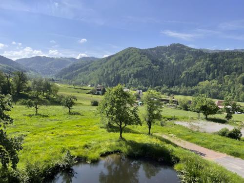 Vista exterior, Gullerhof Ferienwohnung - Köpfle (Gullerhof Ferienwohnung - Kopfle) in Glottertal
