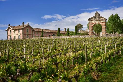Chateau Loudenne - Ecottage dans le parc - Walter in Saint-Yzans-de-Medoc