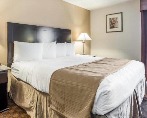 Quality Inn & Suites Coliseum - image 6
