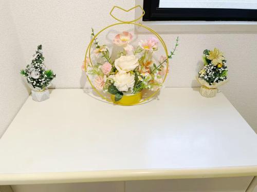 サクラシャドウ白金203