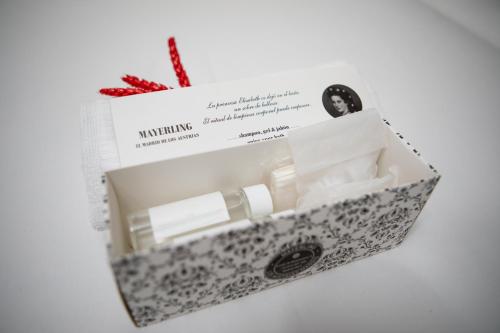 Mayerling Hotel - image 13