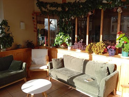 Gîte d'étapes et tables d'hôtes, Le Chalet d'Ambre (Gite d'etapes et tables d'hotes, Le Chalet d'Ambre) in Fay-sur-Lignon