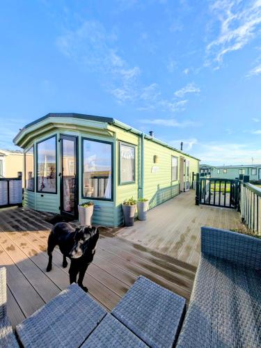 Peacehaven, Ynyslas, Borth in Borta