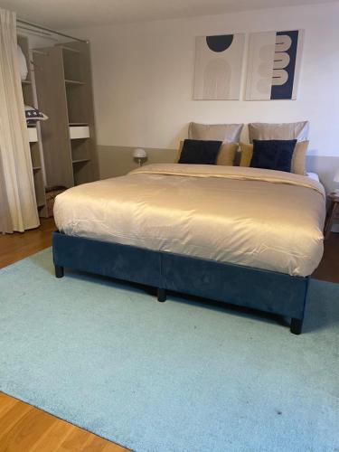 Chambre avec SDB prive in La Chamberte