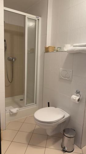 Aston Hotel - image 14