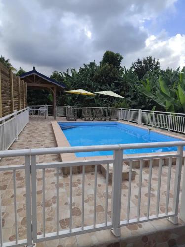 Studio moderne près de Capesterre-Belle-Eau avec piscine - image 11