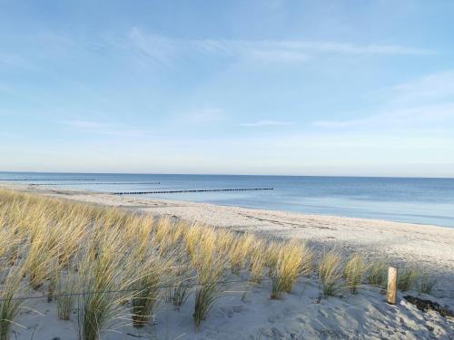 Beach, ruhige 3-Raum-Wohnung "BODDENBLICK" mit Balkon und Terrasse in Zingst