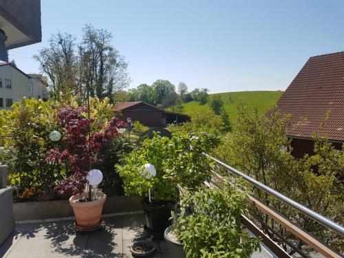 Laura, Daisendorf (foto 6)