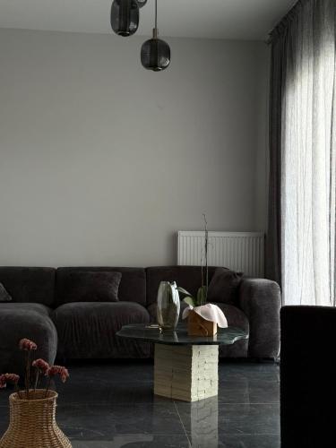 Terra Loft 2