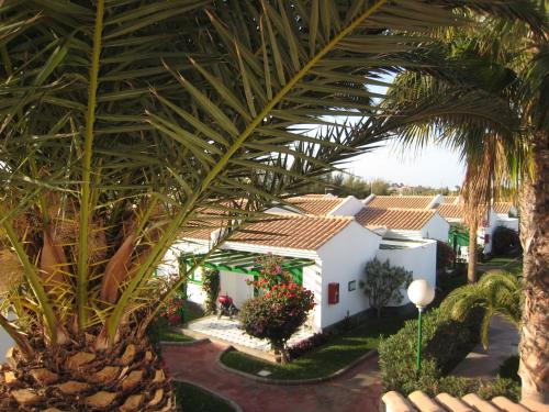 Bungalows Campo Golf - image 2