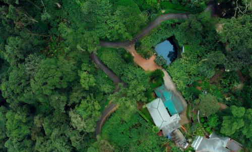 Bracknell Forest Munnar