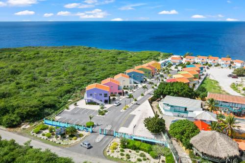 Ocean Hibiscus, Punta Azul, Curacao in 拉古恩