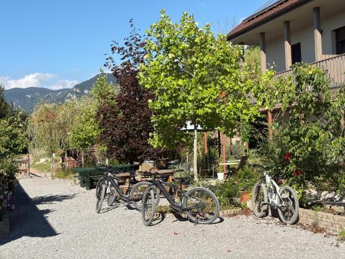 Lipizzaner Lodge Guest House - main image