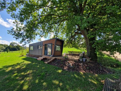 Tiny House Au Coin du Chêne - Location saisonnière - Thaon-les-Vosges