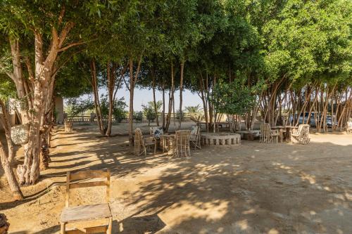 Sand Gate Camp Hotel in Farafra