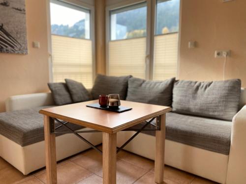 Wohnung Sonnenblume mit Infrarotkabine und Sommer Hörnerbahnen kostenlos