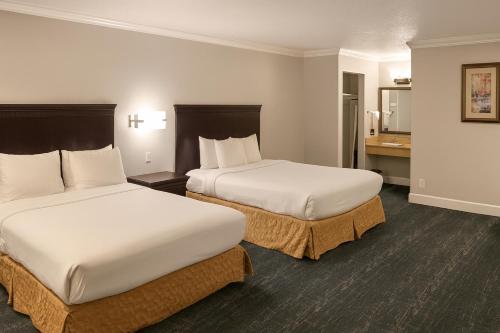 Stargazer Inn and Suites - main image