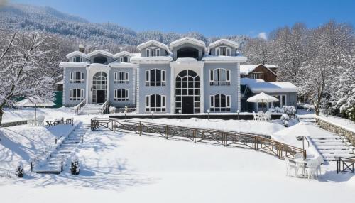 Forest Hill Resorts 5