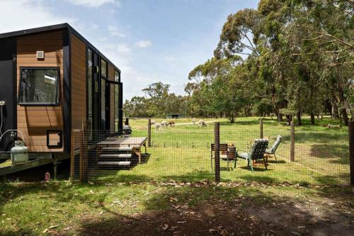 Sleeping Amongst Animals by Tiny Away in Grantville