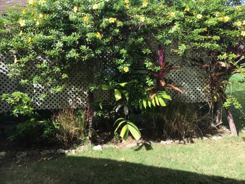 Udsigt, Tropical Villa Apartment in Bathsheba