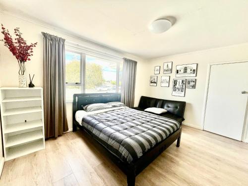 PRIVATE ROOMS IN CENTRAL AUCKLAND in 惠靈頓山