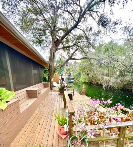 A környék, Natures Nest Waterfront in Homosassa (Florida)