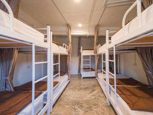 Bunk Bed in Female Dormitory Room  
