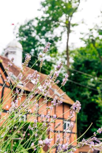Old Rectory House & Orangery Rooms