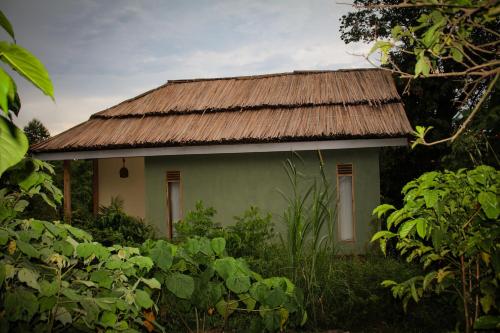 Chimpnest Safari Lodge in Kibale