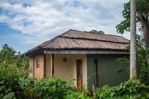 Chimpnest Safari Lodge in Kibale