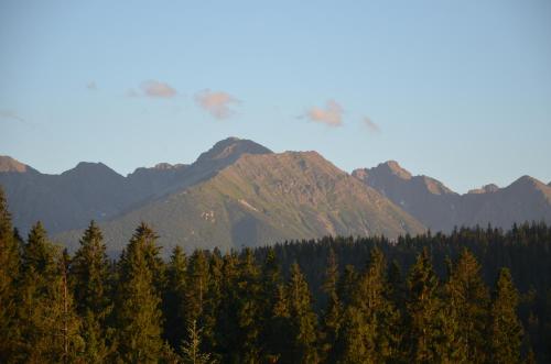 Jedla Miejsce Gościnne obrázok