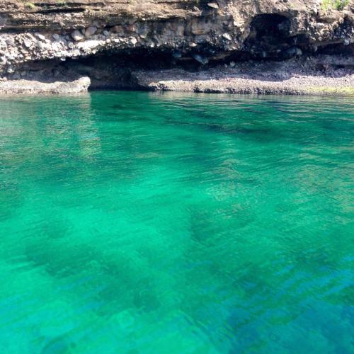 สภาพแวดล้อมโดยรอบ, กาลาโย บีช รีสอร์ต (calayo beach resort) in นาซุกบู