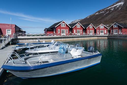 XLyngen - image 10