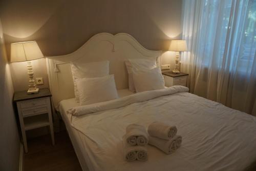 Wooden Villa - image 2