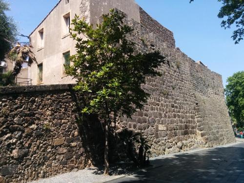 Hotel Araur - image 6