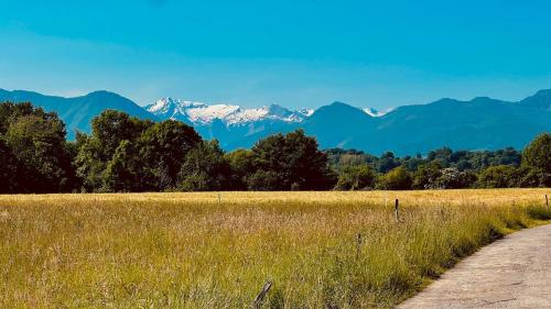 L'escapade champêtre au cœur des Pyrénées (L'escapade champetre au cœur des Pyrenees) in Benejacq