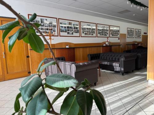 大堂, Thermal Hotel Tengelic in 麥地那
