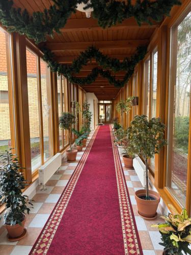 外部景觀, Thermal Hotel Tengelic in 麥地那