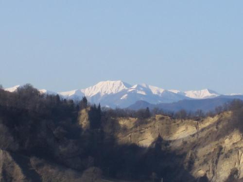 Borgo Pizzicarè