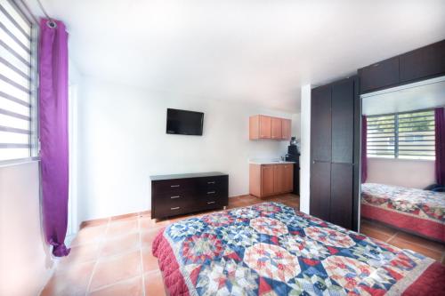 Monte Verde Studio Apartment - image 4