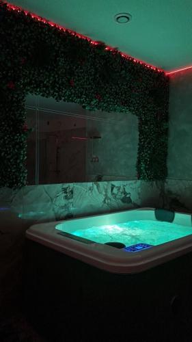 Le Palais Du Khalif - Location saisonnière - Fabrègues