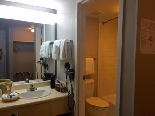 Luxe Studios Nashville Opryland - 화장실